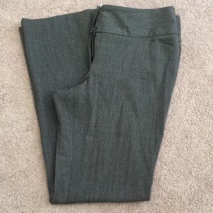 Express Editor Pants
